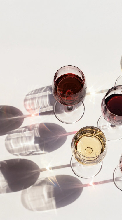 Sauvagine, accords mets et vins Sauvagine, accords mets et vins
